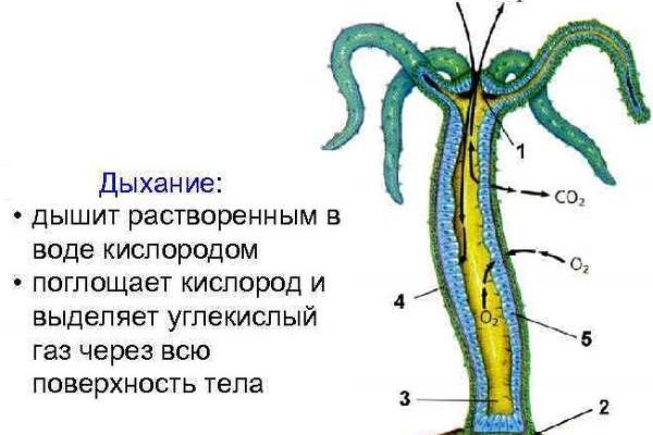 Как узнать 2fa код на блэк спрут