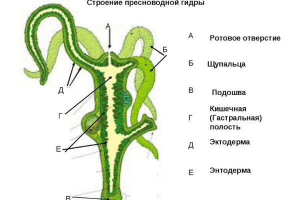 Вход на сайт blacksprut