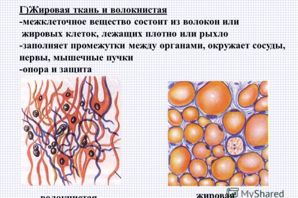 Https bs2site at ссылка blacksprut