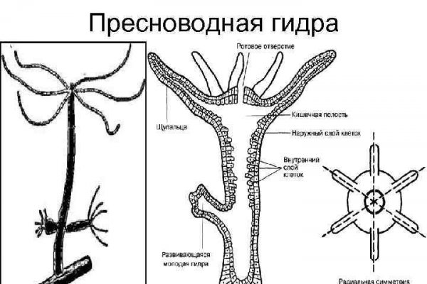 Блэк спрут оригинальная ссылка tor wiki online